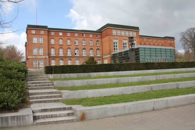 Die AfD ist seit der vergangenen Landtagswahl auch im Kieler Landeshaus vertreten.